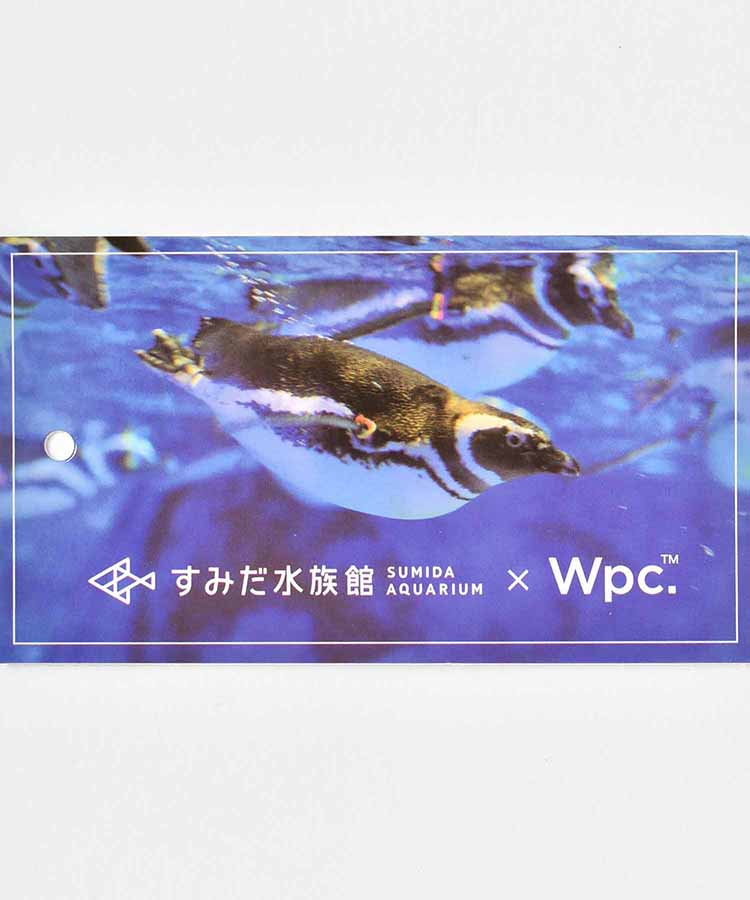 [ビニール傘]すみだ水族館×Wpc. スイミングペンギンアンブレラ