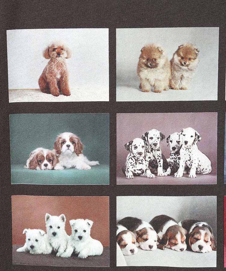 PUPPYフォトTシャツ