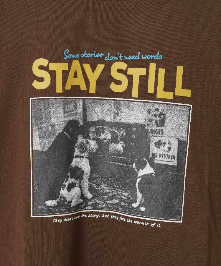 dogフォトTシャツ