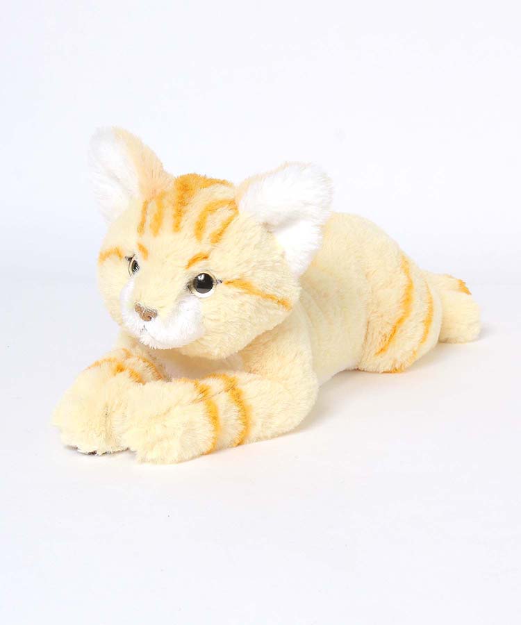 ひざすなねこ