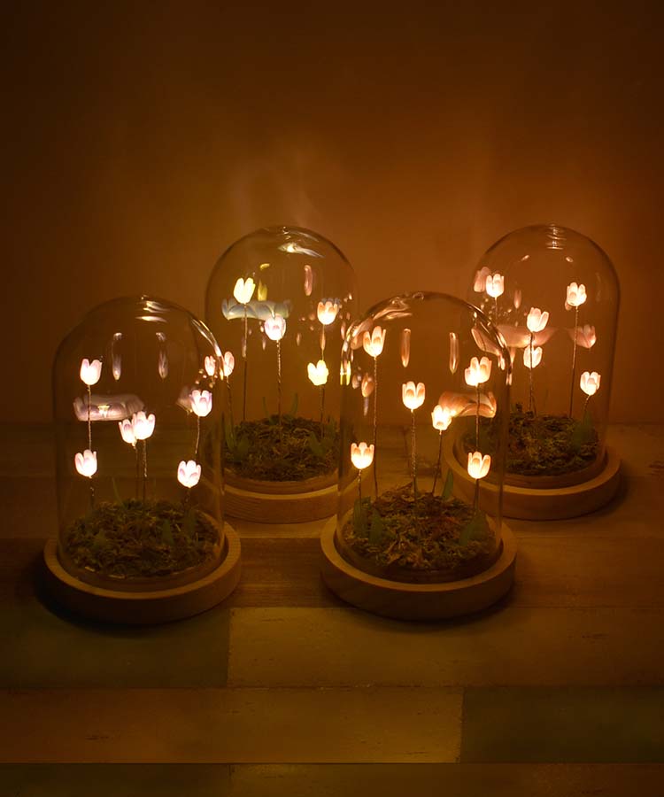 【WEB限定】LUMOチューリップガラスドームS