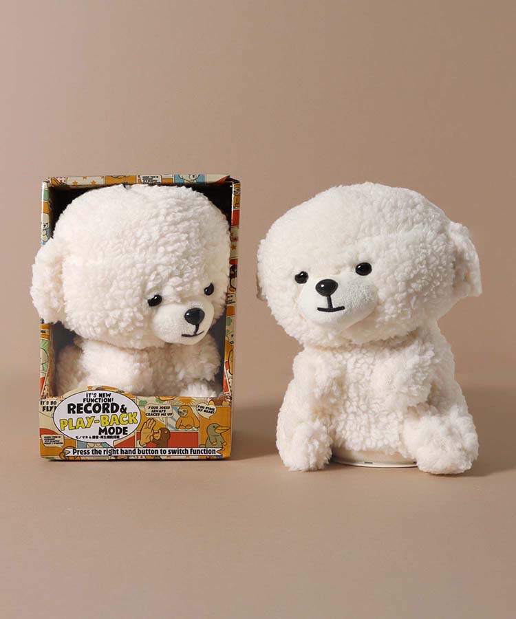 【WEB限定】マイムフレンズプラス