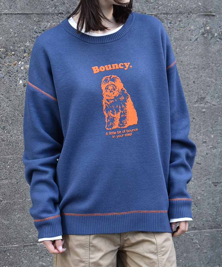 Bouncy.フロッキープリントニットプルオーバー