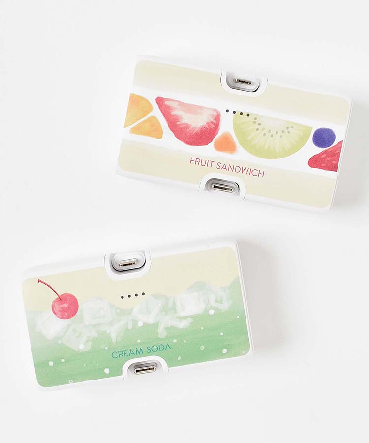 【WEB限定】コネクタ付きリチウム充電器4000mAh