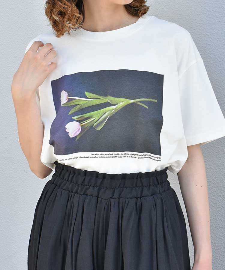 フォトグラフTシャツ