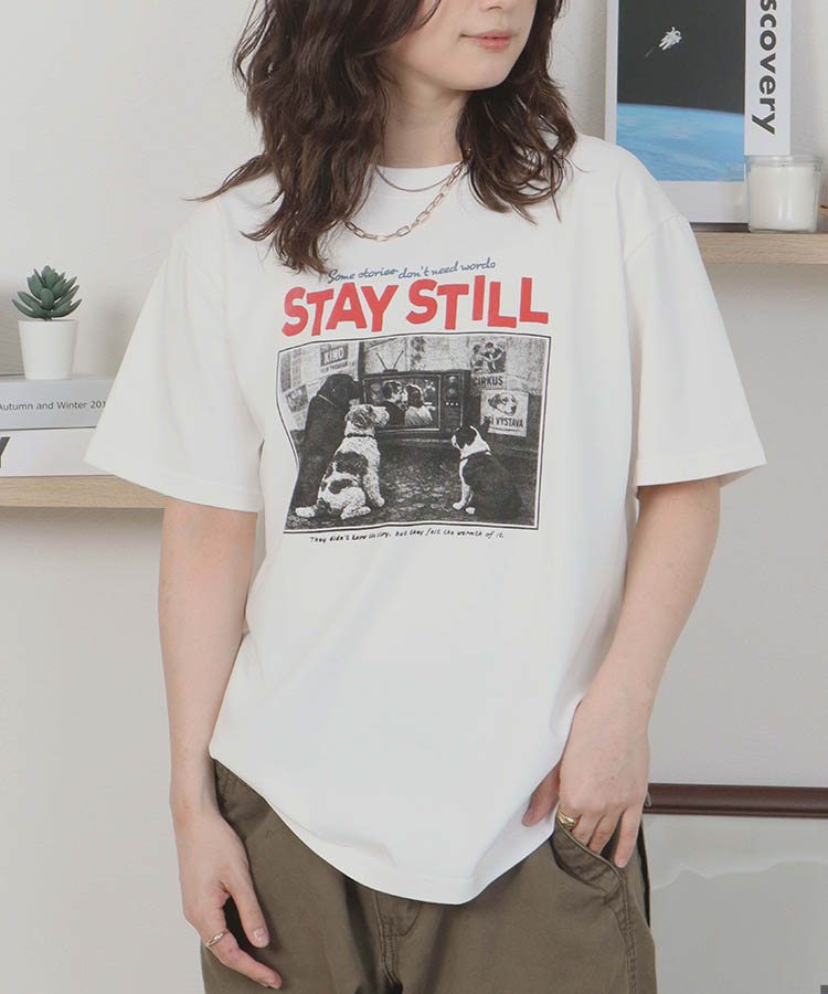 dogフォトTシャツ