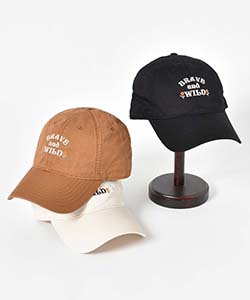 新品未使用）PNB刺繍ロゴ 迷彩　レッド　ジェットキャップ 期間限定・予約販売で『JNR』マークの刺繍キャップが、出版社が